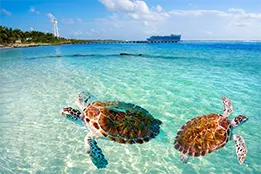 caribbean-cruise-destination