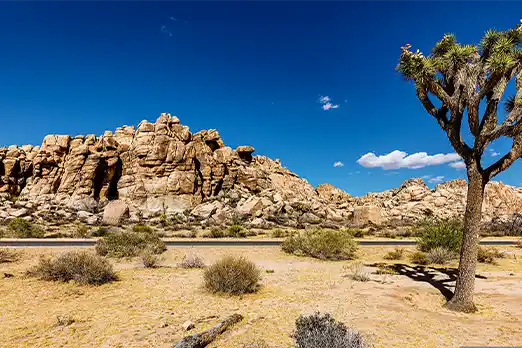 north-america-destination