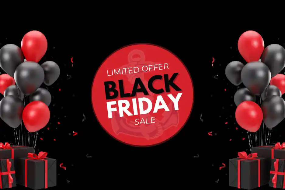 Black Friday Sale